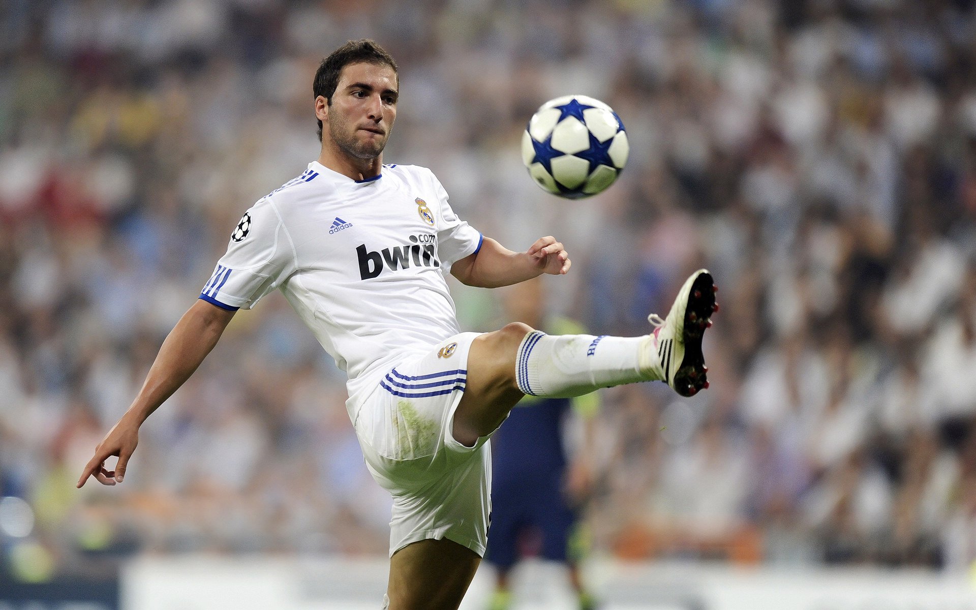 “从青涩新星到核心球员:萨尔·巴赫的快速成长”